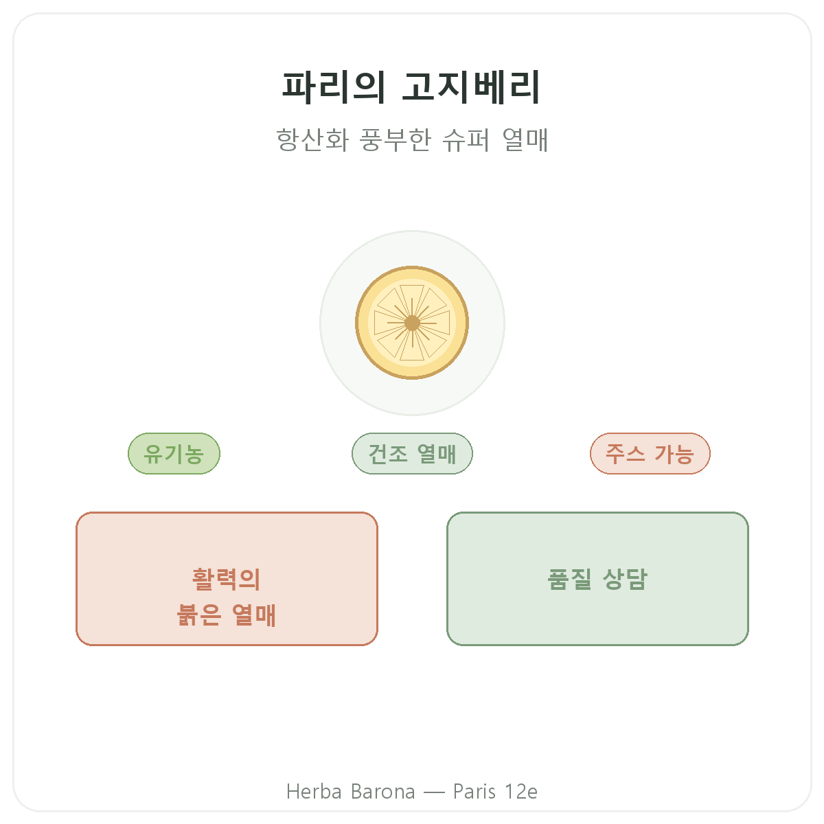 고지베리 파리 - Herba Barona 파리 12구 브랜드 소개