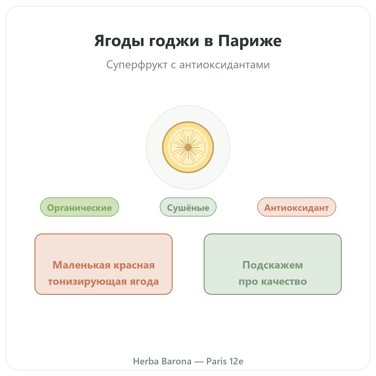 Годжи Париж Париж - презентация бренда в Herba Barona, Париж, 12-й округ