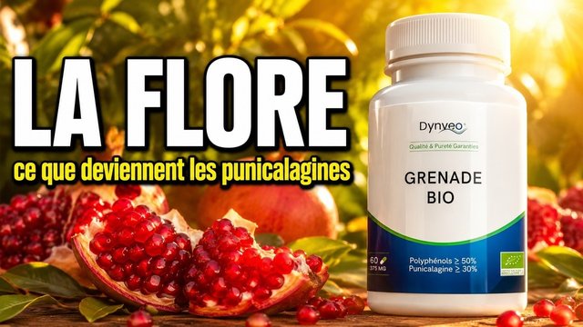 Vidéo Grenade Bio Dynveo Paris Herba Barona