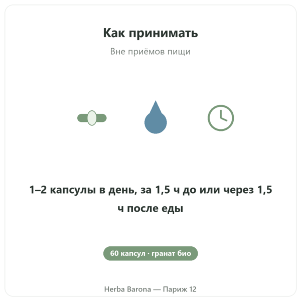 Grenade Bio Dynveo 375 mg как принимать вне приёмов пищи Париж Herba Barona