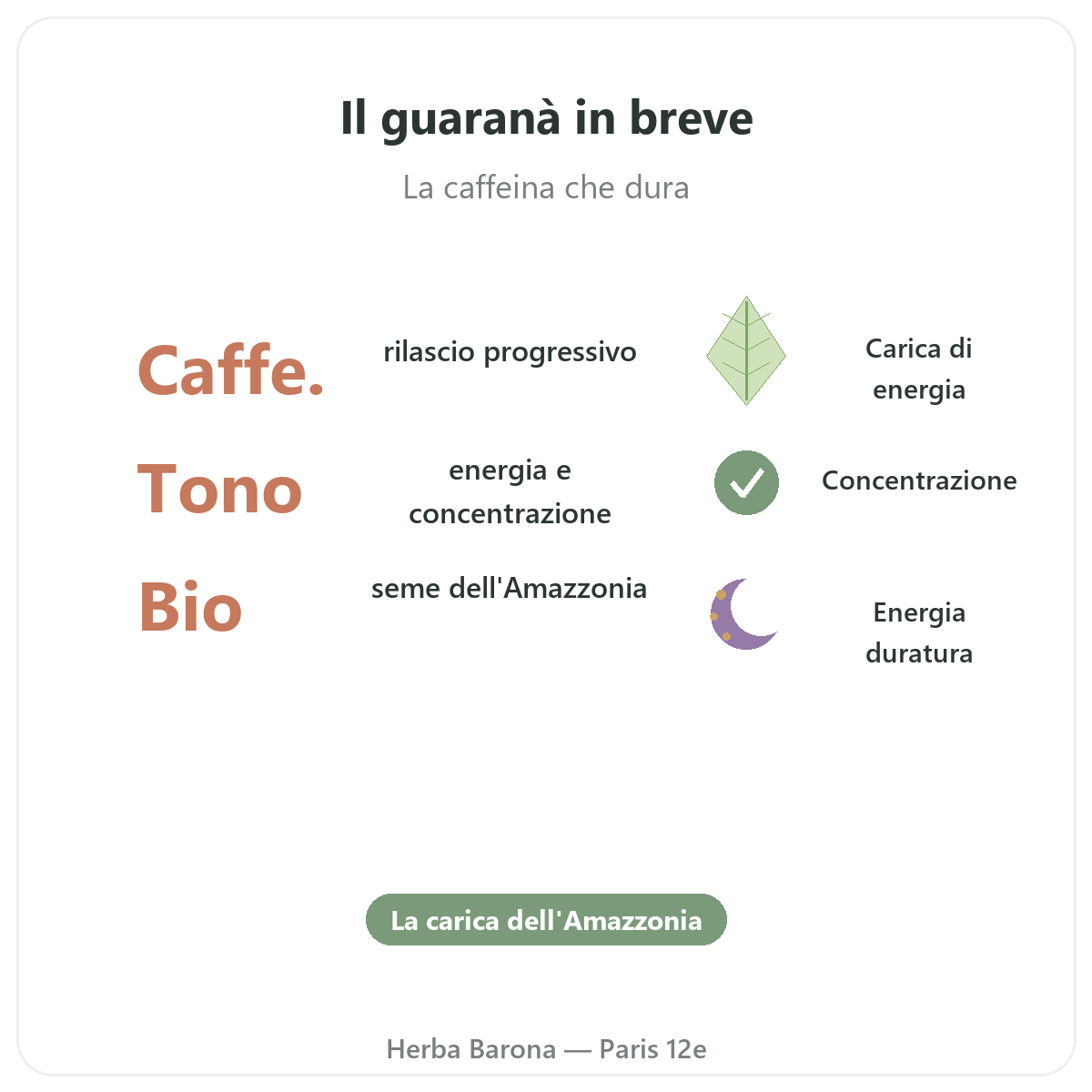 Guaranà Parigi in breve - cifre chiave da Herba Barona Parigi 12e