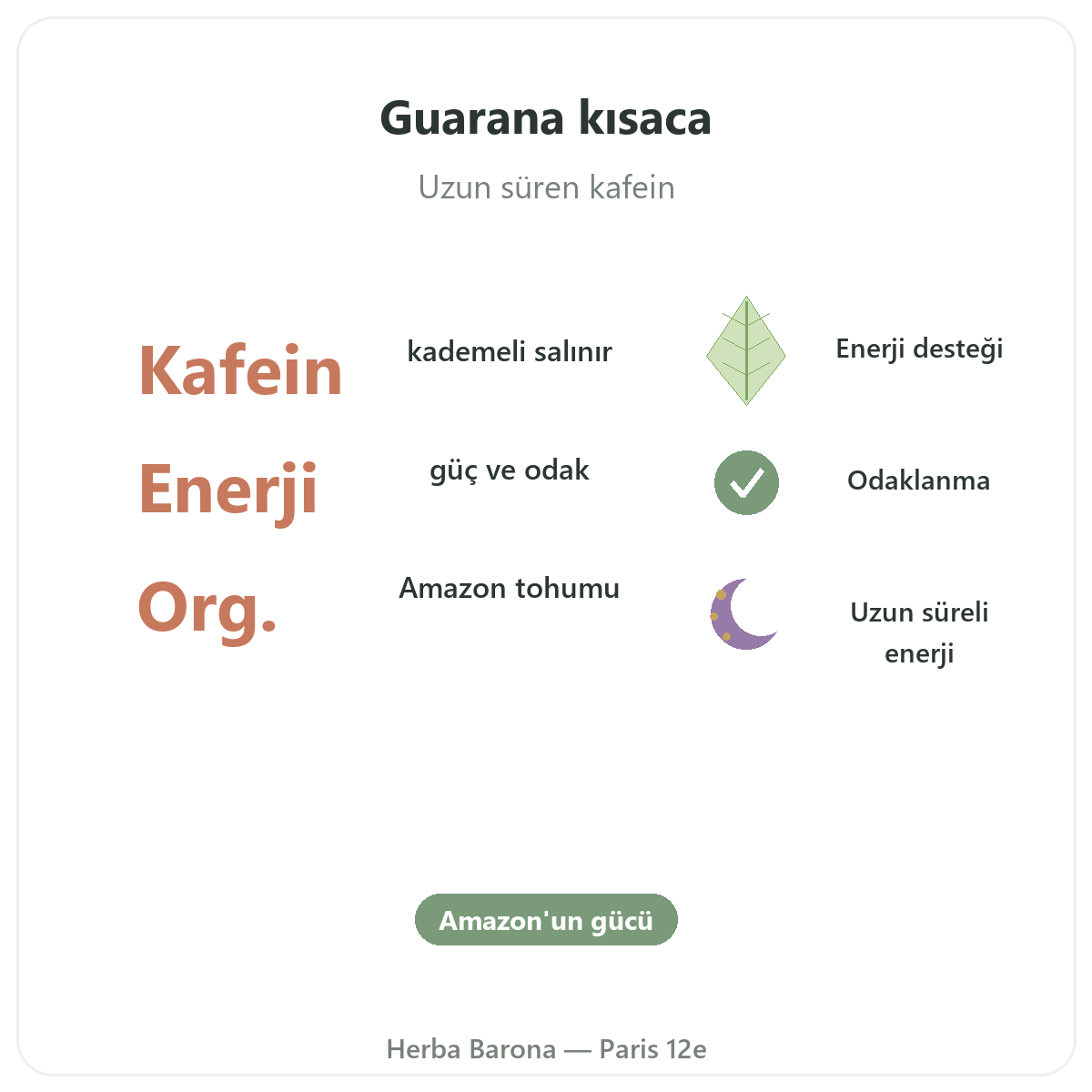 Guarana Paris özetle - Herba Barona’da önemli rakamlar, Paris 12. bölge