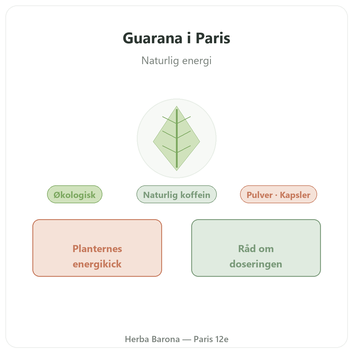 Guarana Paris Paris - præsentation af mærket hos Herba Barona Paris 12