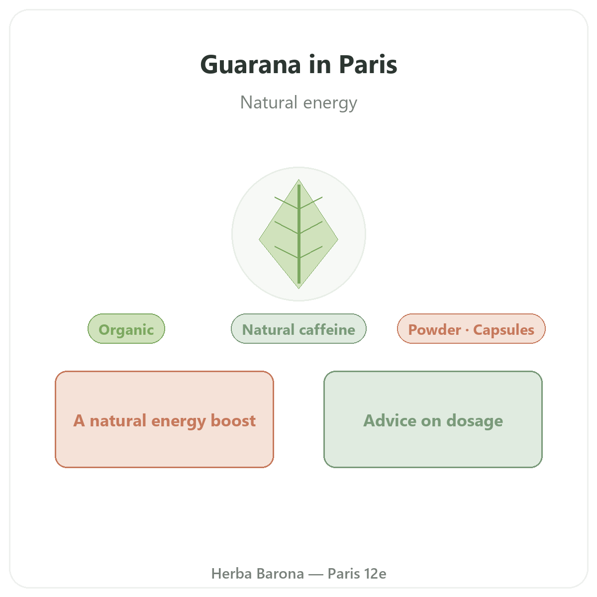 Guarana Paris - brand presentation at Herba Barona Paris 12e