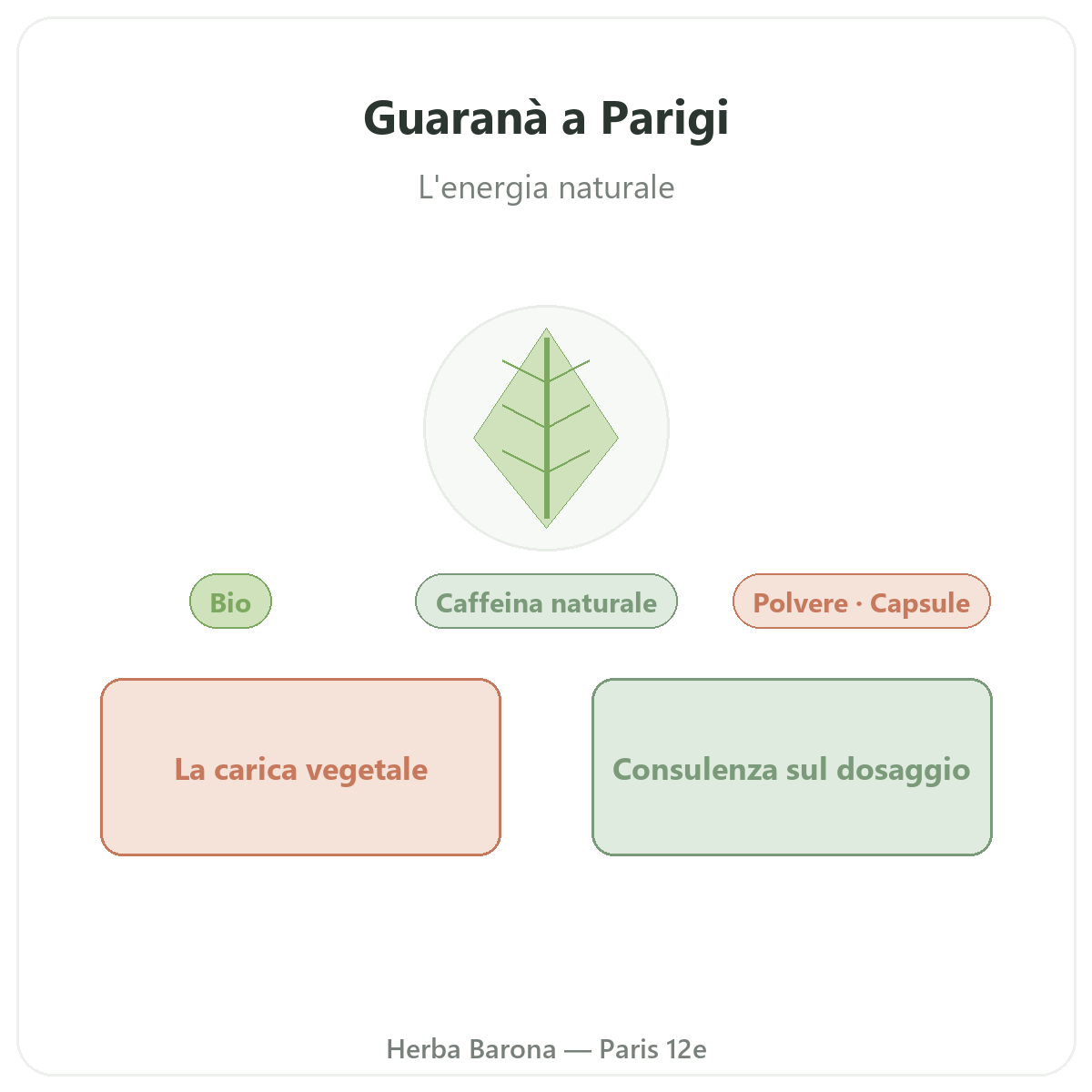 Guaranà Parigi - presentazione del marchio da Herba Barona Parigi 12e