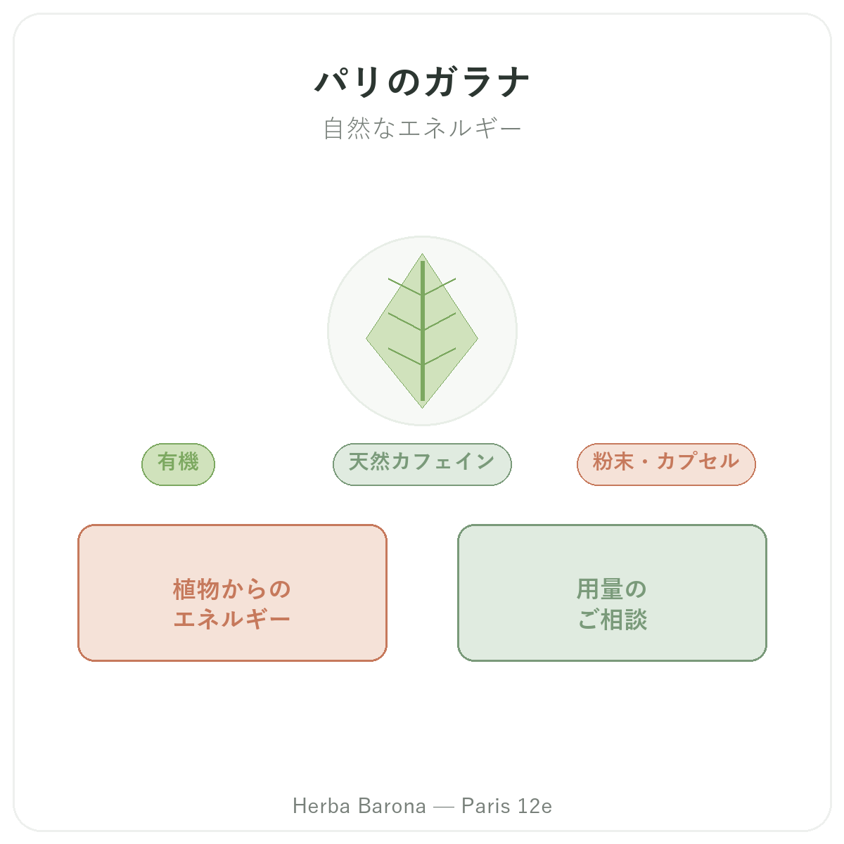 ガラナ パリ — Herba Barona パリ12区でのブランド紹介