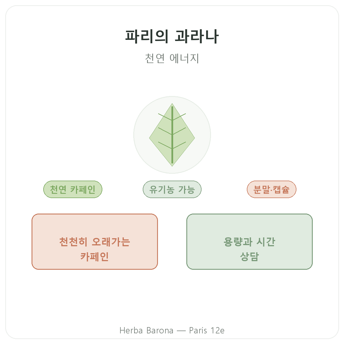 과라나 파리 - Herba Barona 파리 12구 브랜드 소개