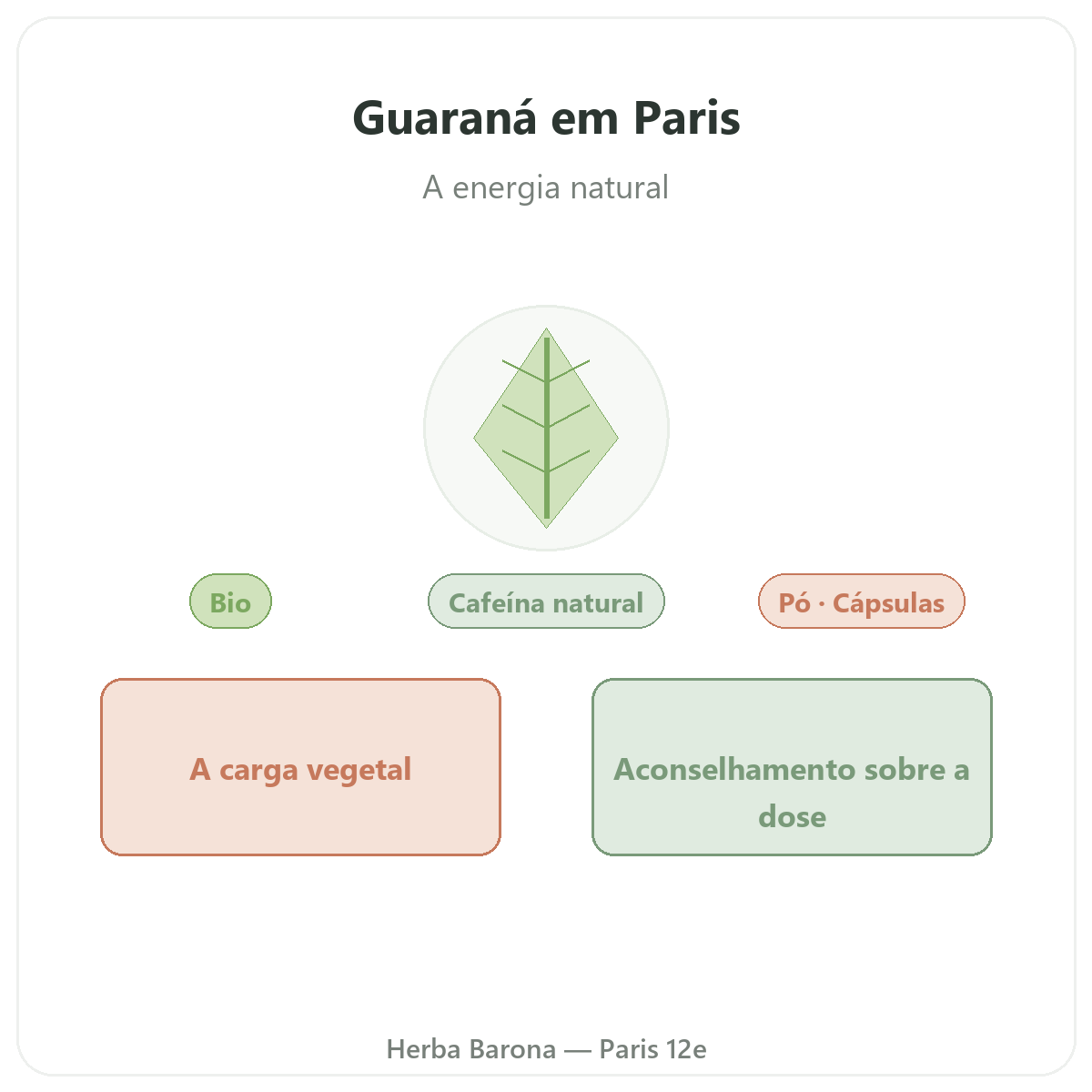 Guaraná Paris Paris - apresentação da marca na Herba Barona Paris 12e