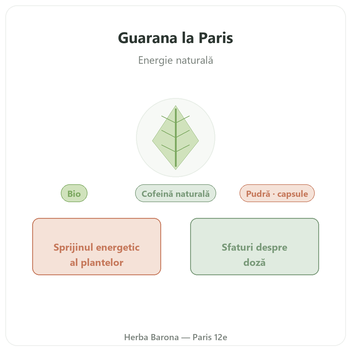 Guarana Paris - prezentarea mărcii la Herba Barona Paris, arondismentul 12