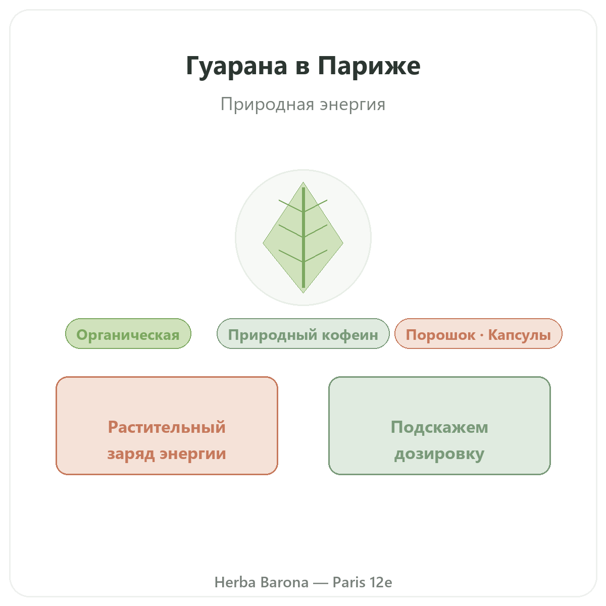 Гуарана Париж Париж - презентация бренда в Herba Barona, Париж, 12-й округ