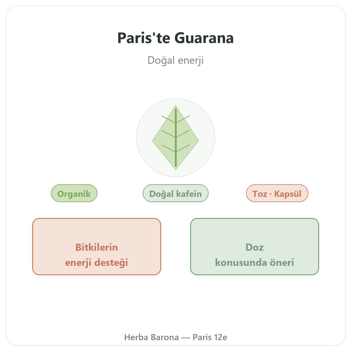 Guarana Paris - Herba Barona’daki marka tanıtımı, Paris 12. bölge
