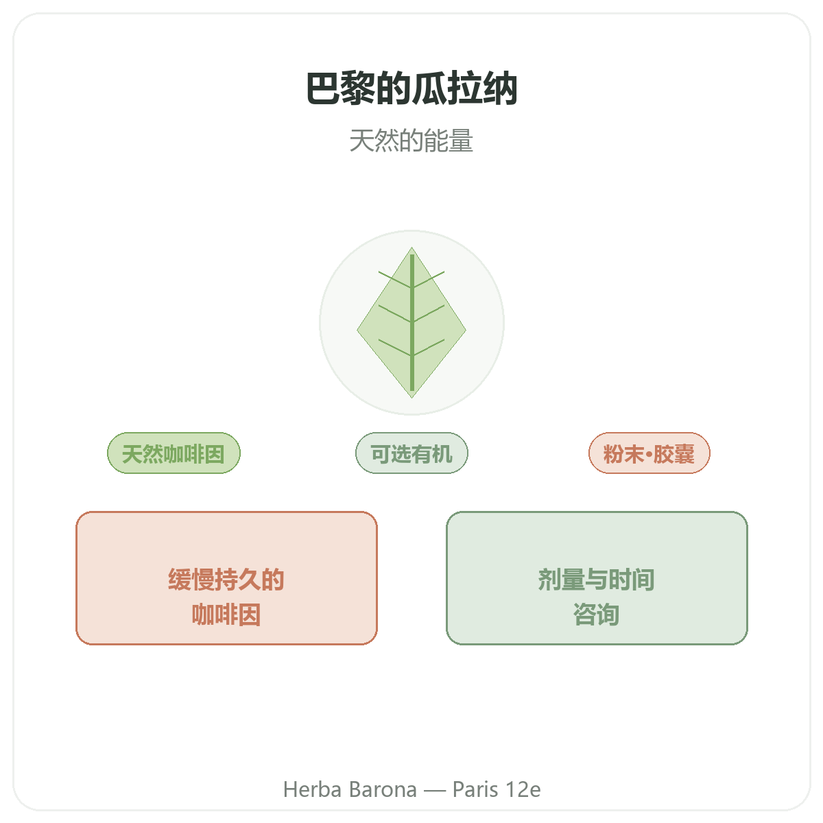 巴黎瓜拿纳 - Herba Barona巴黎12区品牌介绍