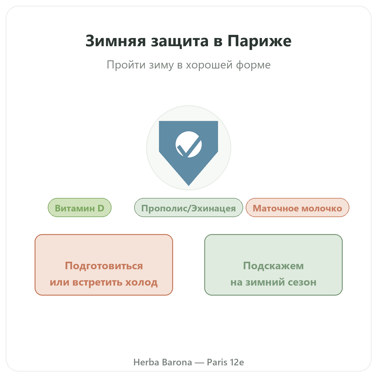 Зимняя защита и иммунитет в Париже — презентация в Herba Barona Париж, 12-й округ