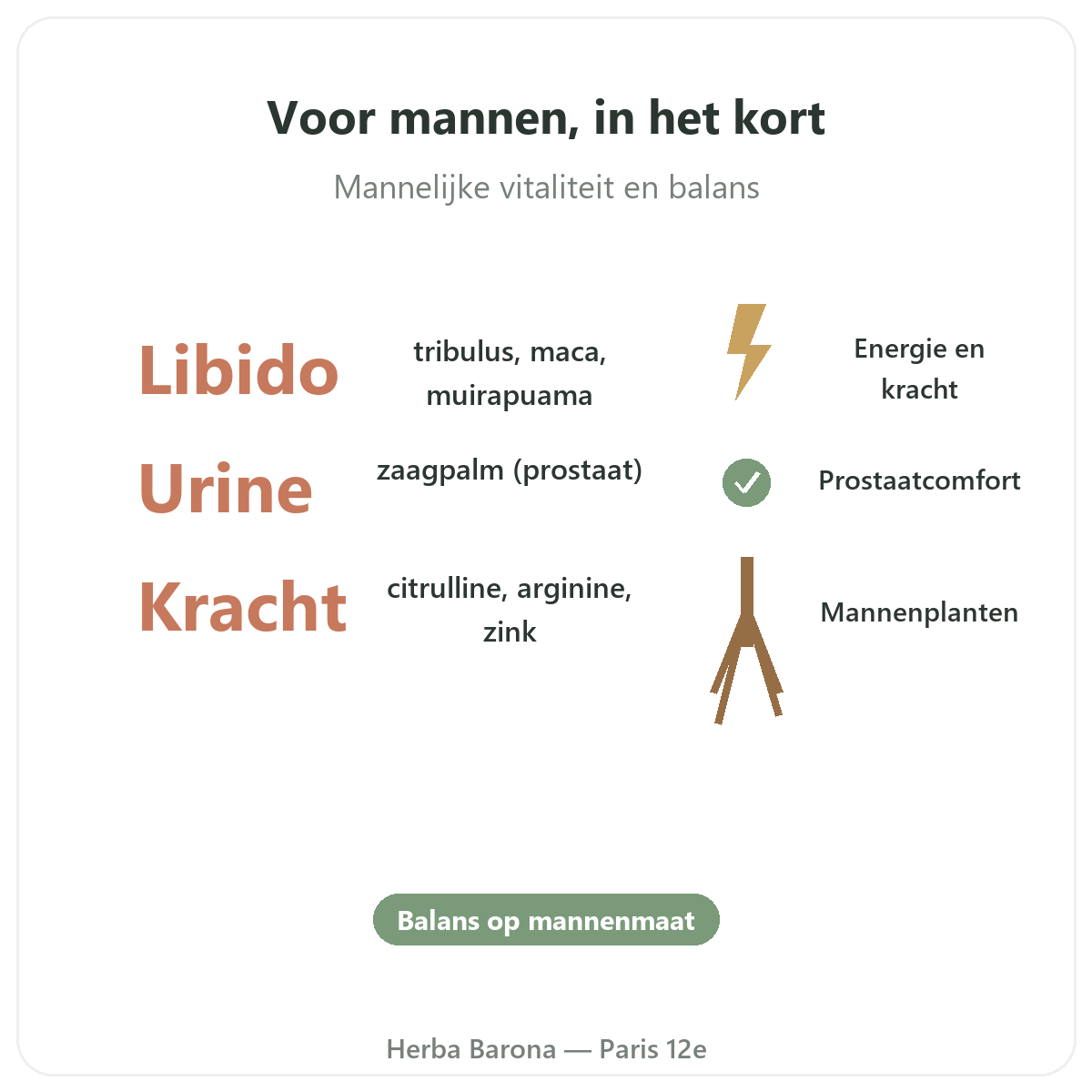 Supplementen voor mannen Parijs in het kort - kerncijfers bij Herba Barona Parijs