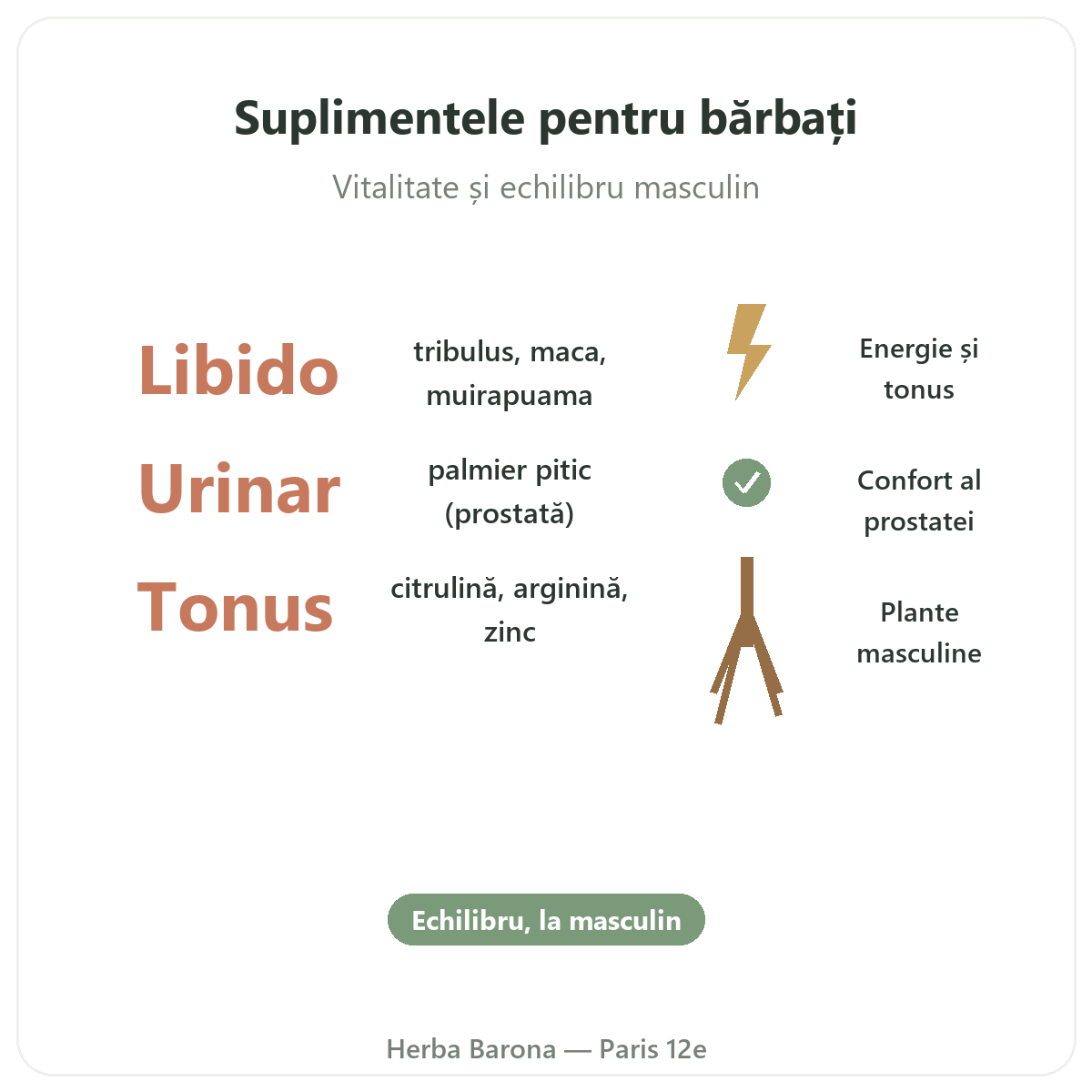 Suplimente pentru bărbați Paris pe scurt - cifre cheie la Herba Barona Paris, arondismentul 12