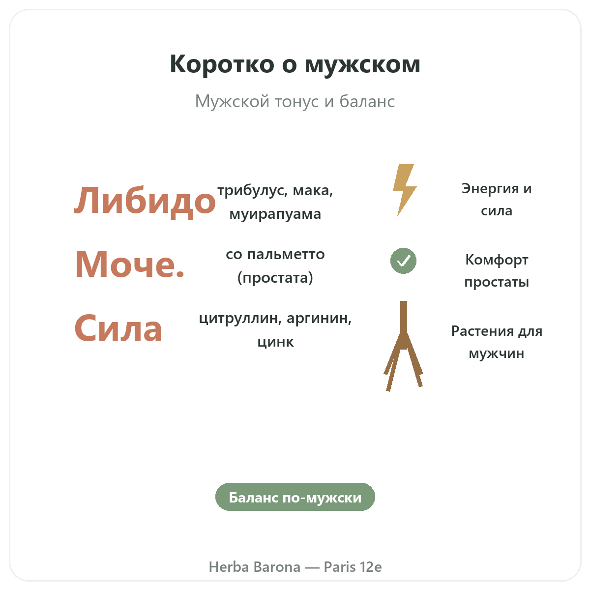 Добавки для мужчин Париж Париж вкратце - ключевые цифры в Herba Barona, Париж, 12-й округ