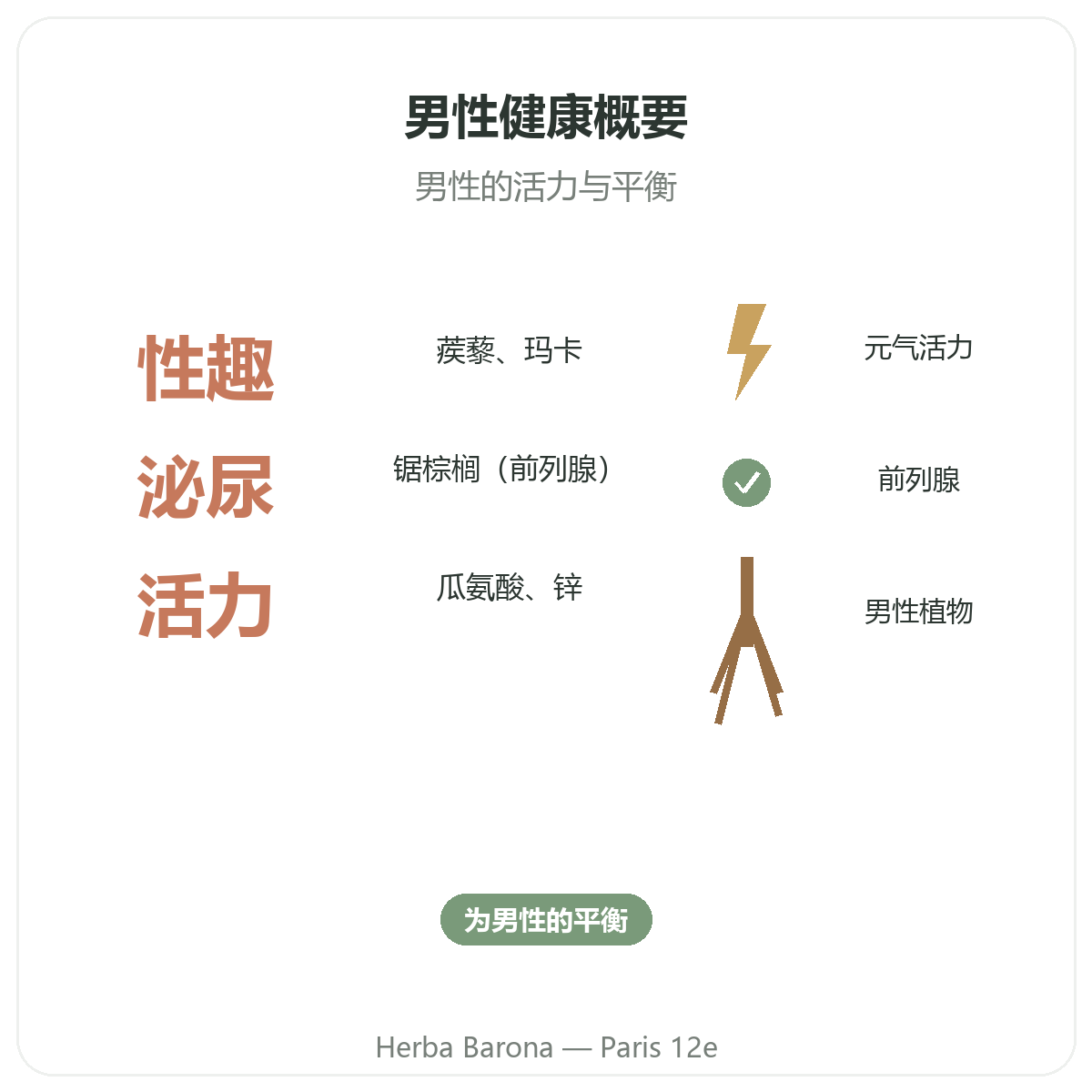巴黎男士补充品简介 - Herba Barona巴黎12区关键数据
