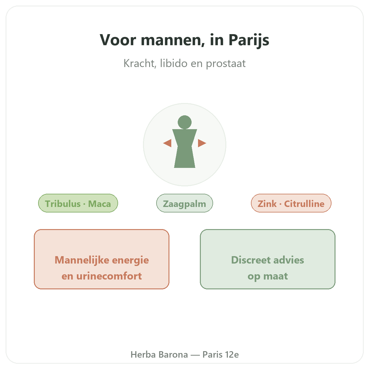 Supplementen voor mannen Parijs - voorstelling van het merk bij Herba Barona Parijs