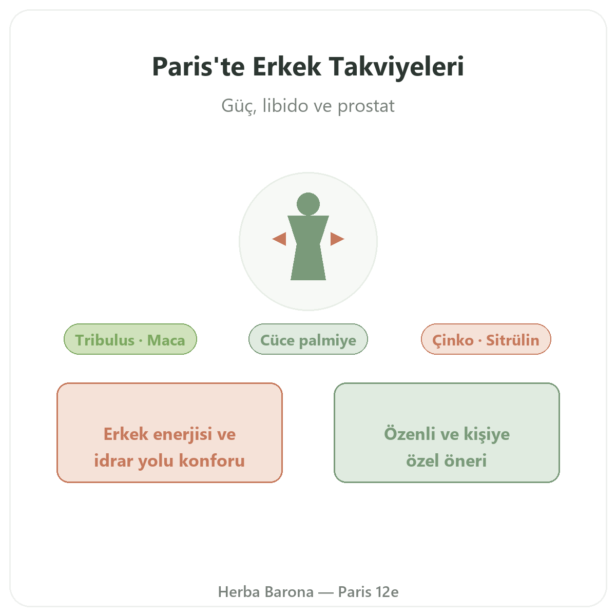 Erkek takviyeleri Paris - Herba Barona’daki marka tanıtımı, Paris 12. bölge