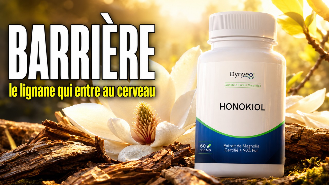 Honokiol saf manolya Dynveo videosu Paris Herba Barona