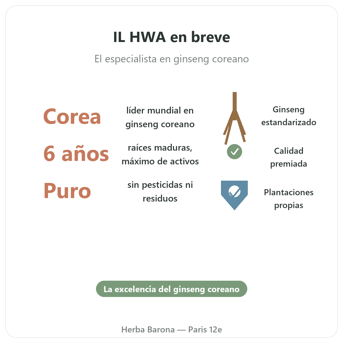 IL HWA París en resumen - cifras clave en Herba Barona París 12e