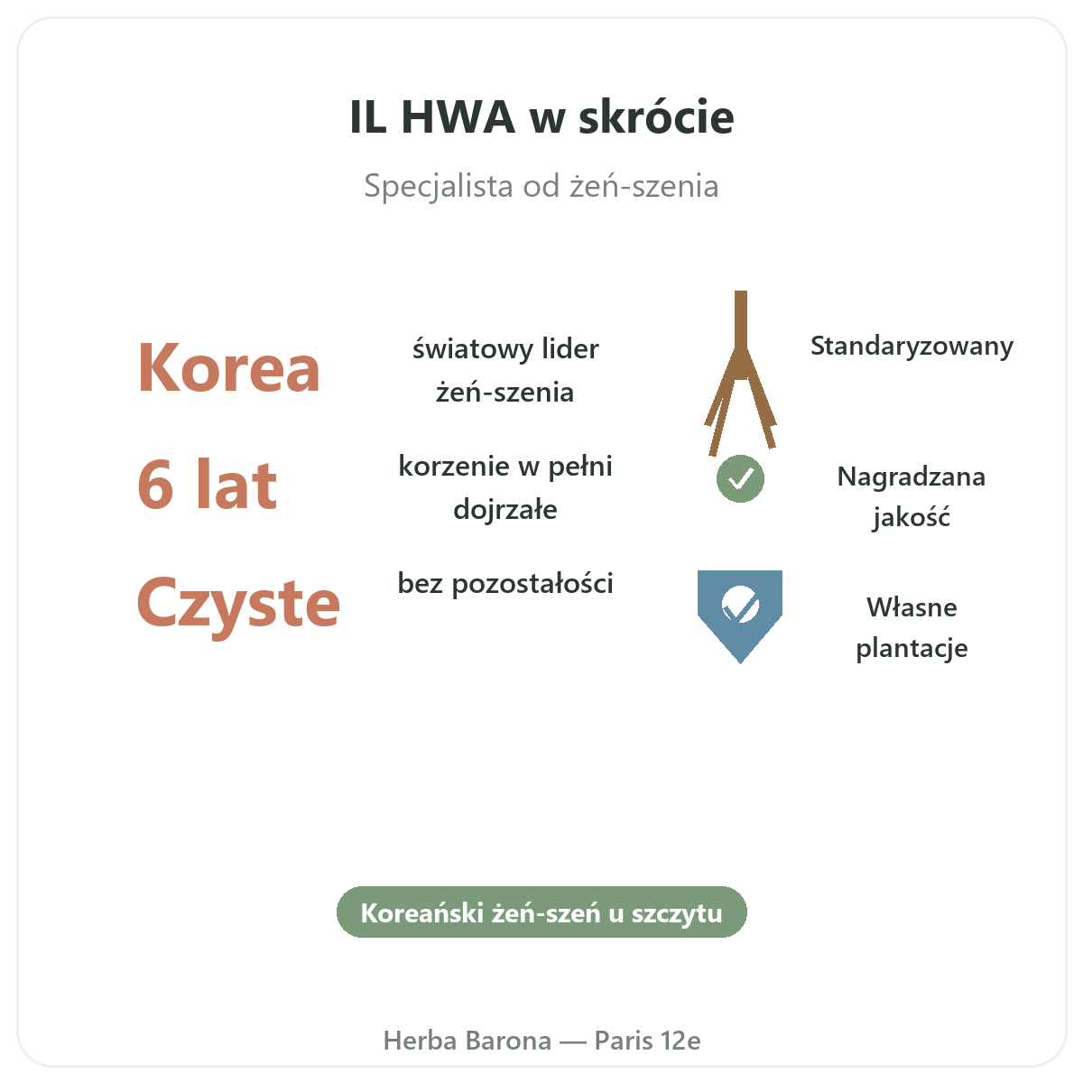 IL HWA w Polsce w skrócie – kluczowe informacje o marce