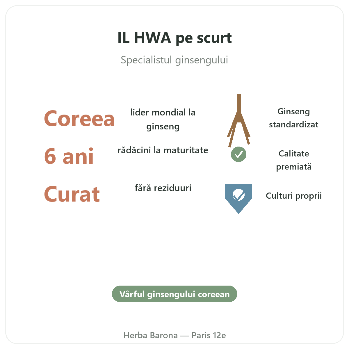 IL HWA Paris pe scurt - cifre cheie la Herba Barona Paris, arondismentul 12