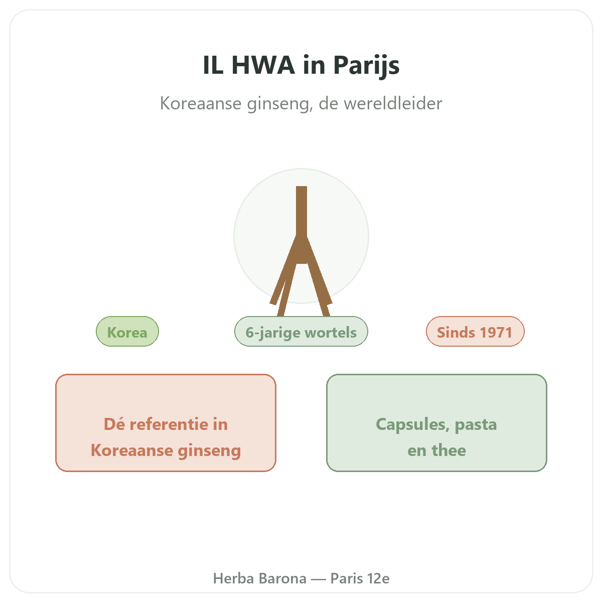 IL HWA Paris - presentation de la marque chez Herba Barona Paris 12e