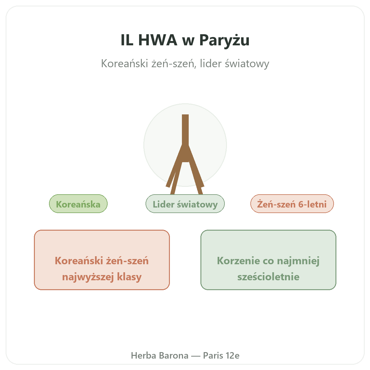 IL HWA w Paryżu – prezentacja marki w Herba Barona