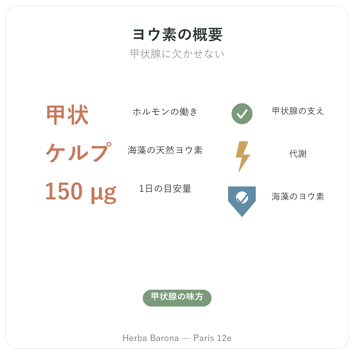 パリのヨウ素 早わかり - Herba Barona パリ12区の数字で見る特徴