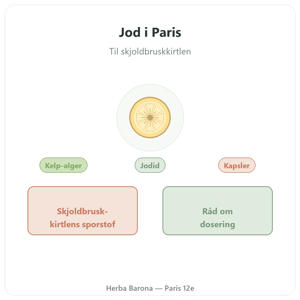 Jod Paris - præsentation hos Herba Barona Paris 12