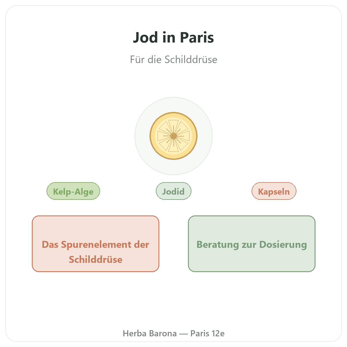 Jod Paris - Präsentation bei Herba Barona Paris 12e