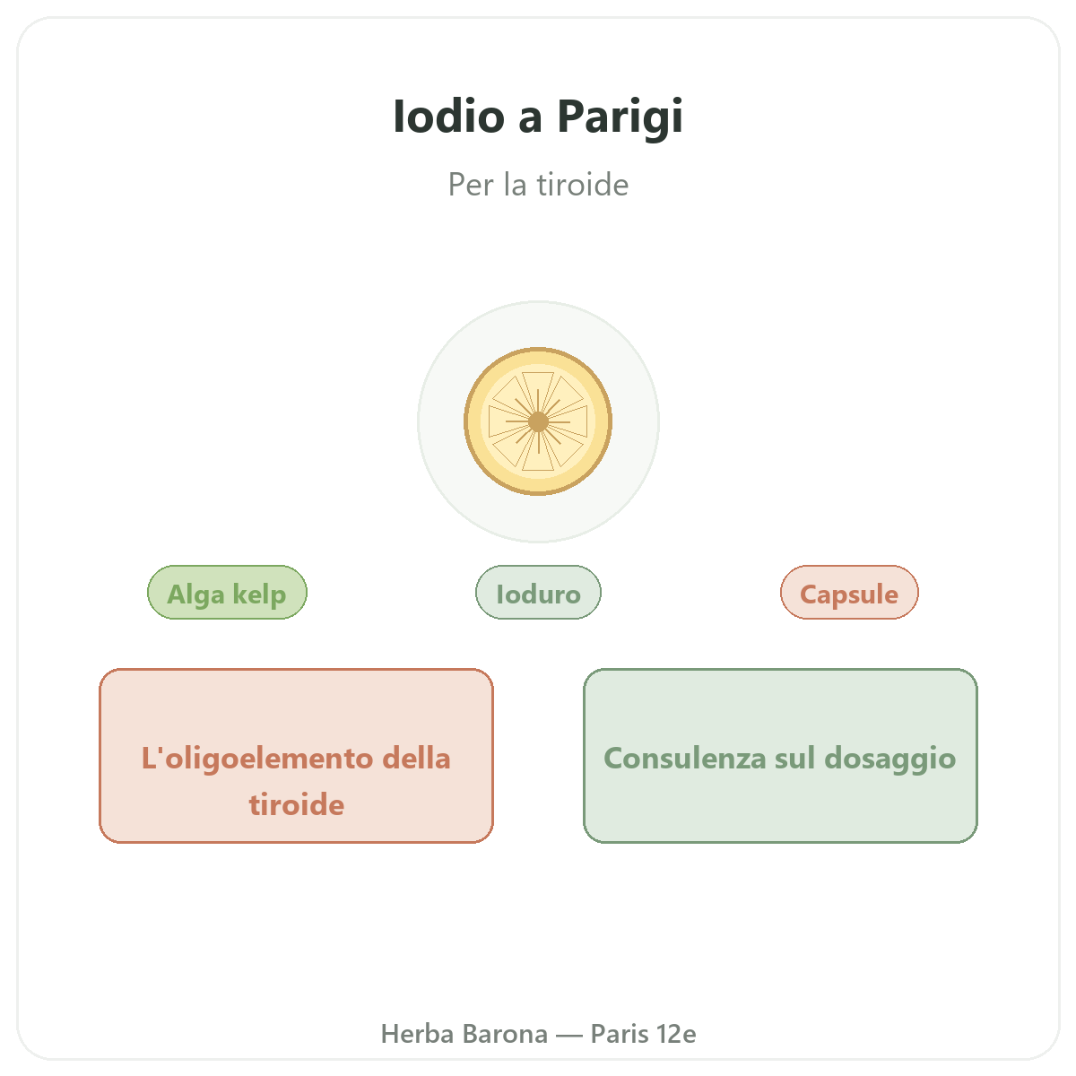 Iodio Paris - presentazione da Herba Barona Paris 12e