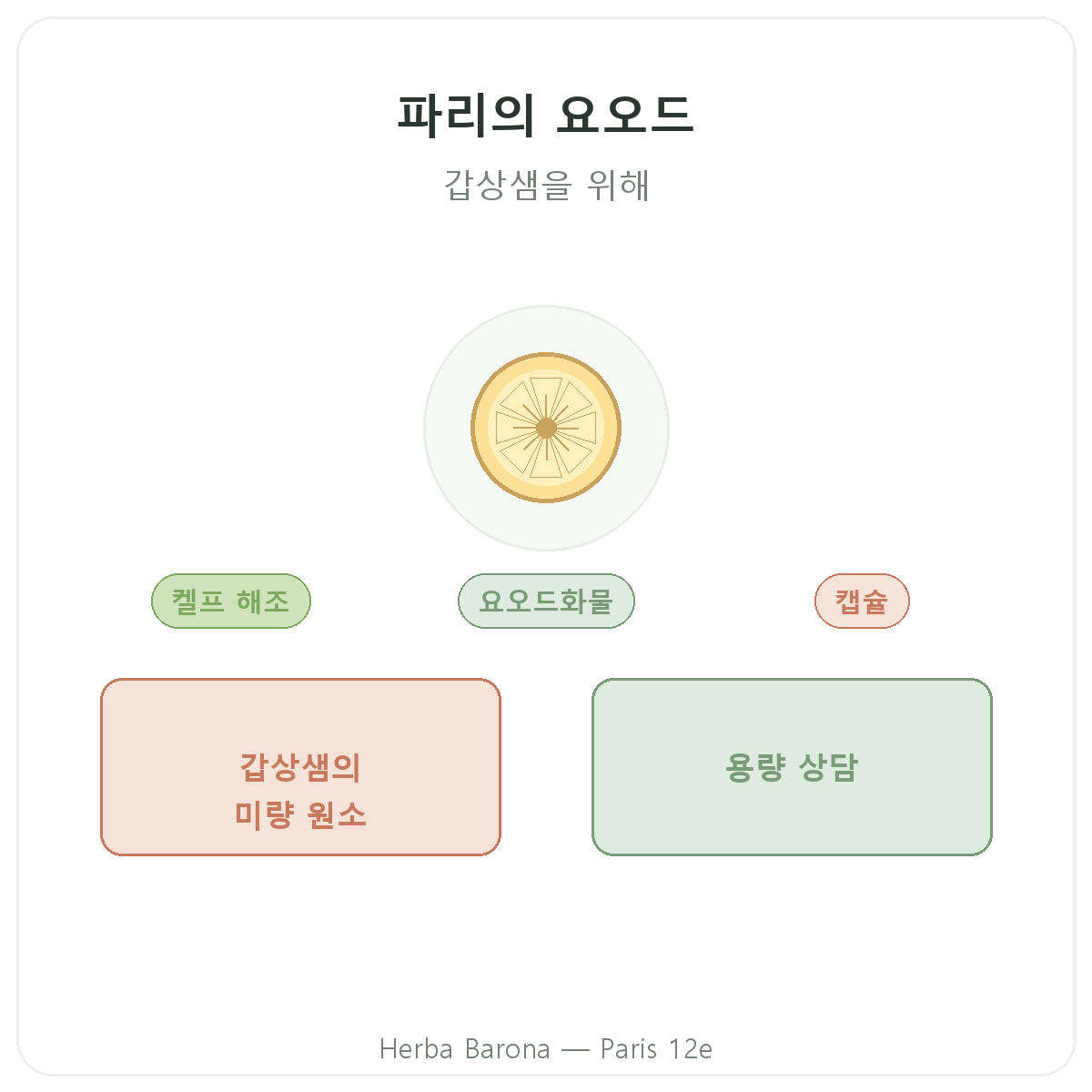 요오드 파리 - Herba Barona 파리 12구 브랜드 소개