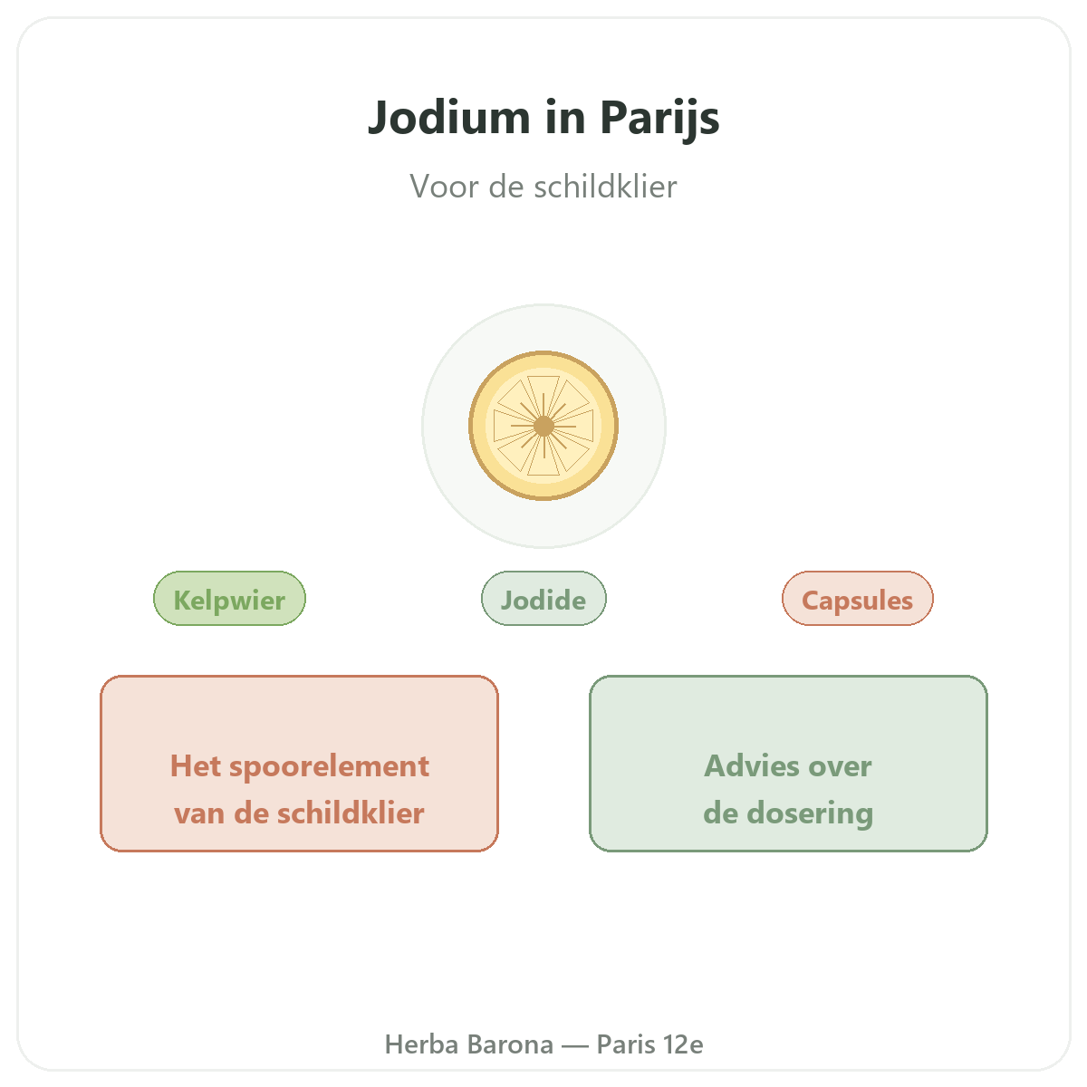 Jodium in Parijs - presentatie van het merk bij Herba Barona Parijs 12e