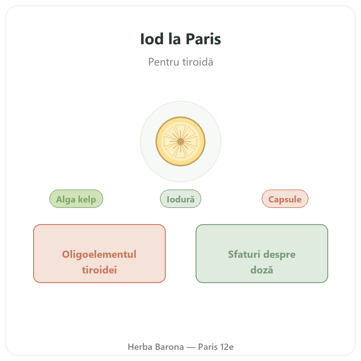 Iod Paris - prezentare la Herba Barona Paris, arondismentul 12