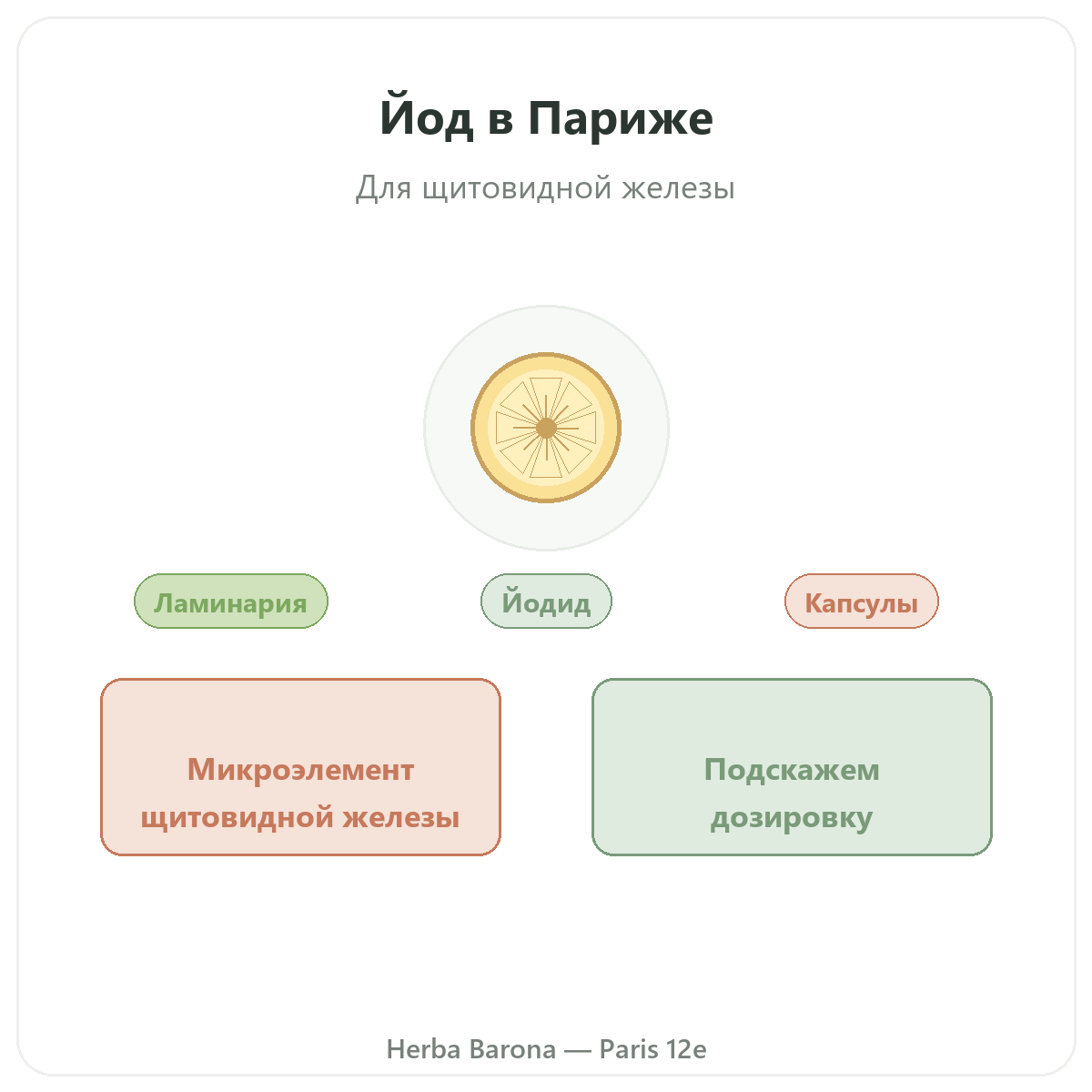 Йод Париж — презентация в Herba Barona, Париж, 12-й округ