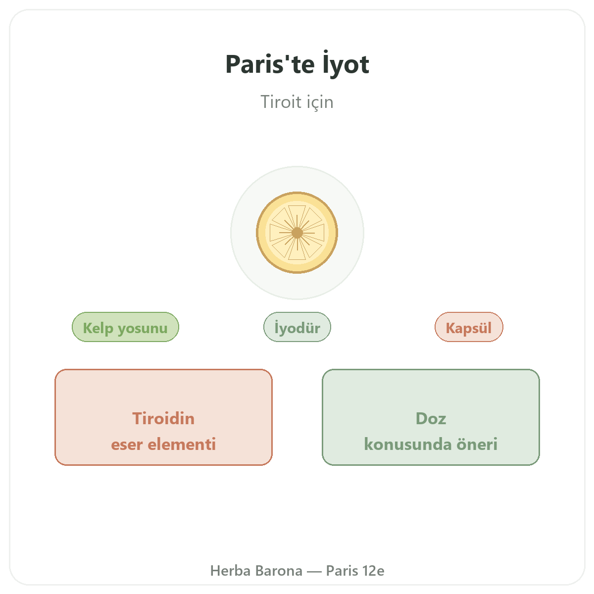 İyot Paris - Herba Barona’daki tanıtım, Paris 12. bölge