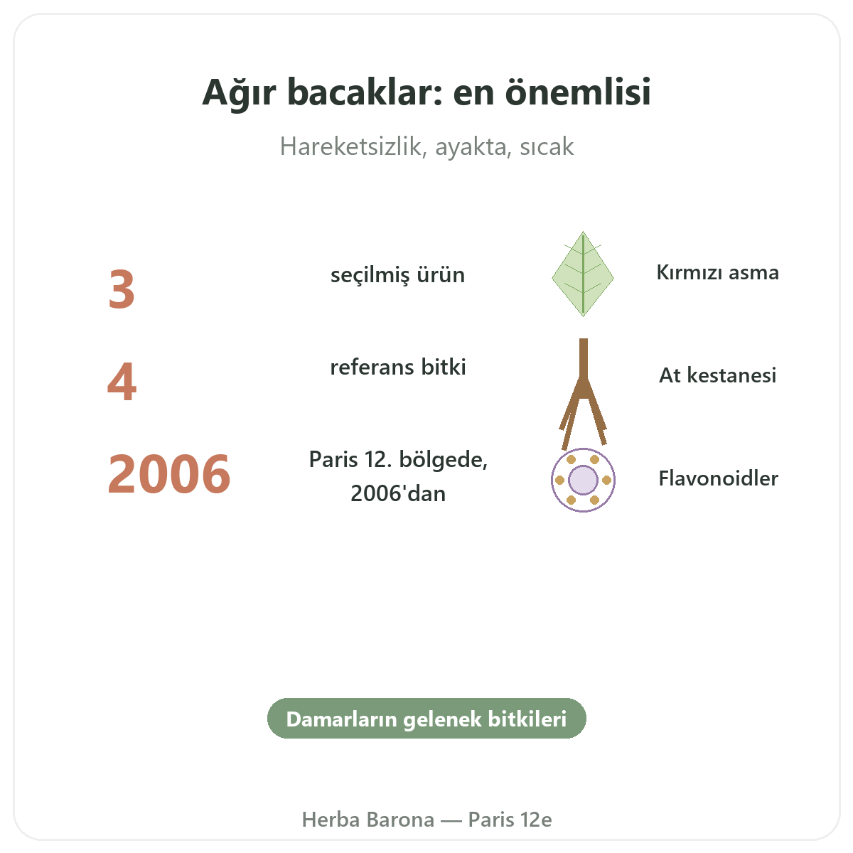 Ağır bacak takviyeleri özet - Herba Barona Paris 12. bölgede öne çıkan rakamlar