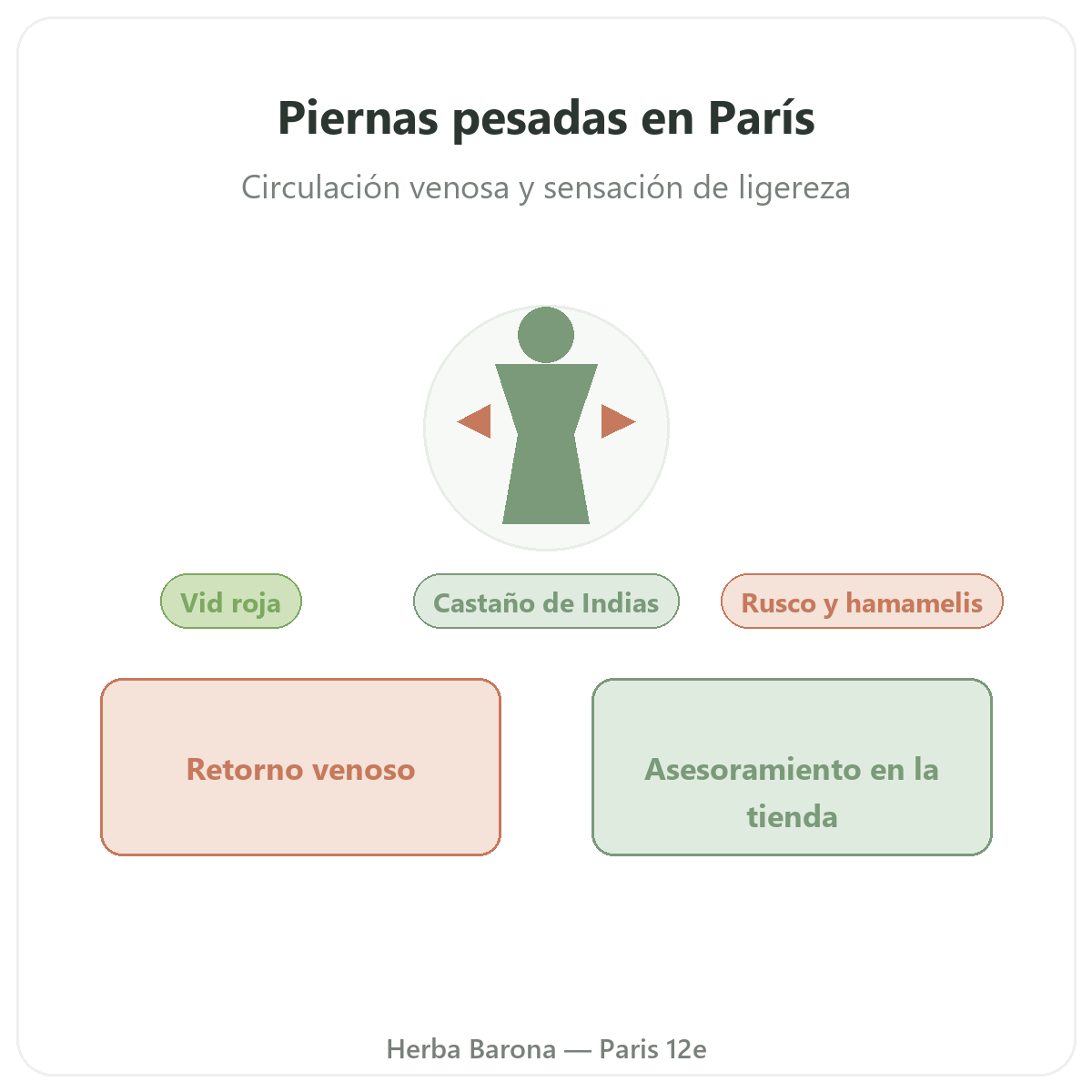 Complementos piernas pesadas en París - en Herba Barona París 12e