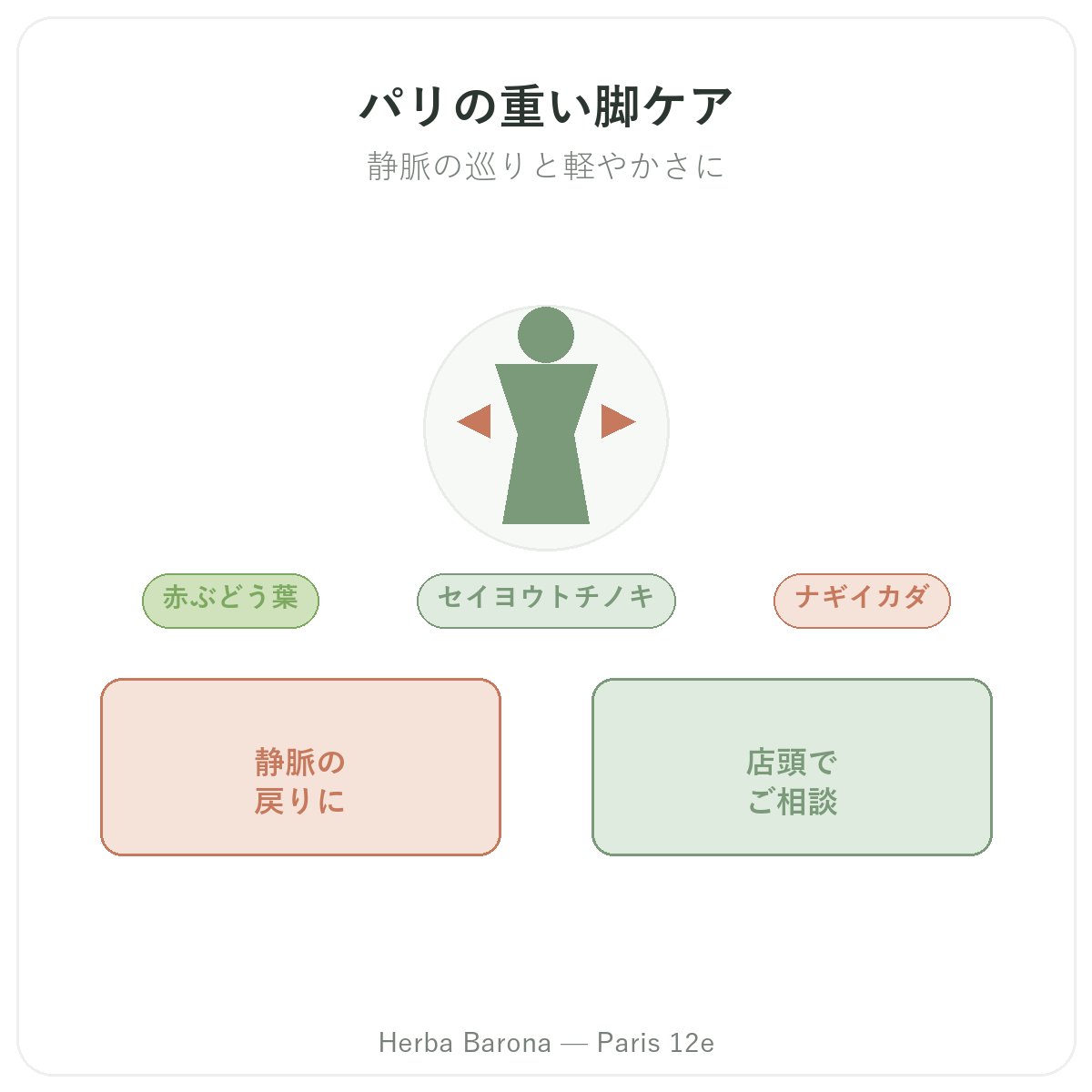 脚の重だるさ ケアサプリメント パリ - Herba Barona パリ12区