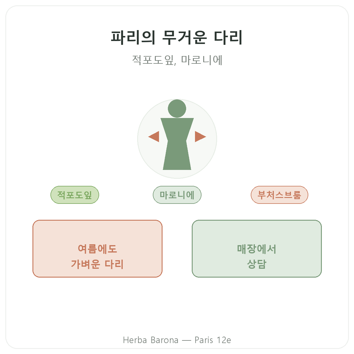 파리의 다리 무거움 영양제 - Herba Barona 파리 12구