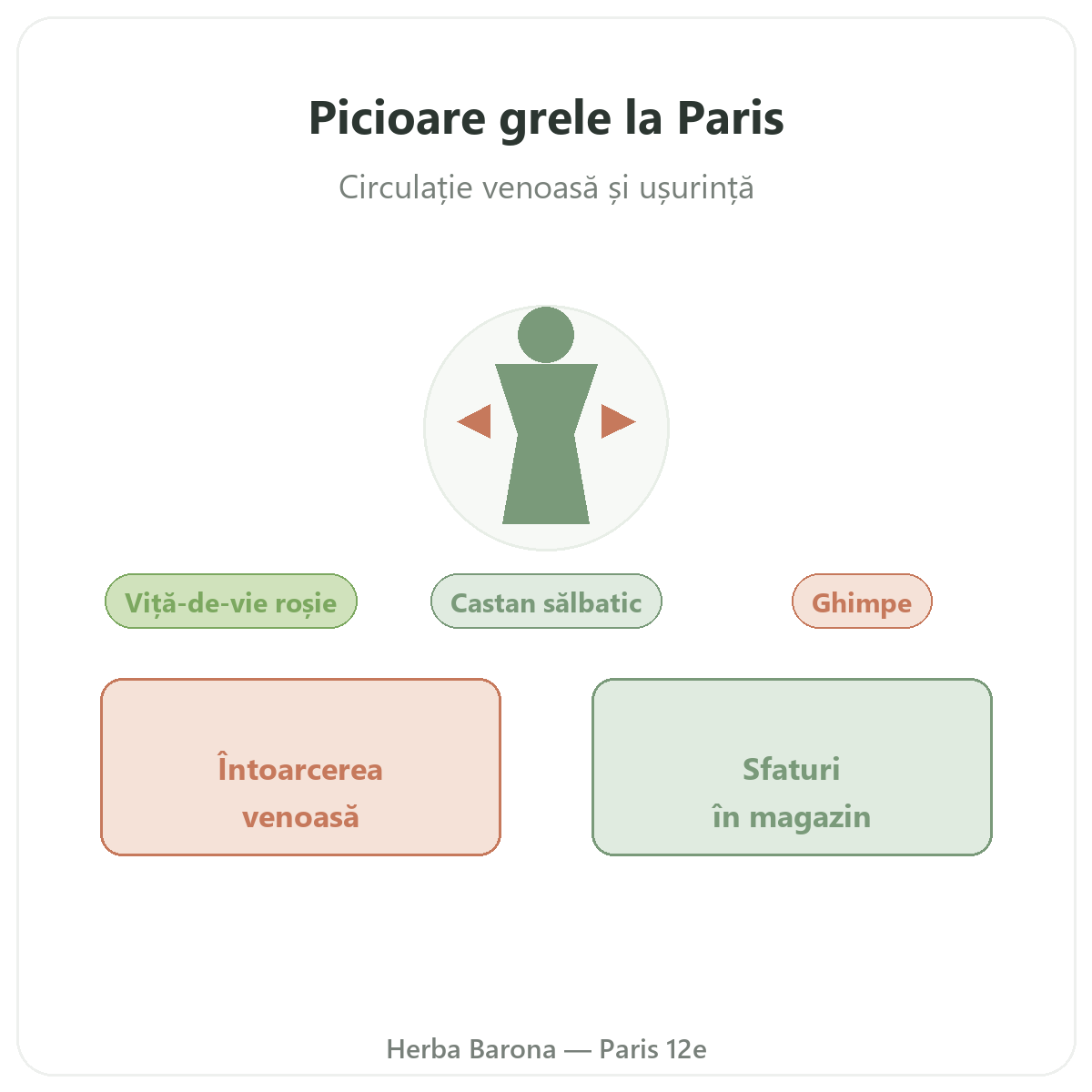 Suplimente pentru picioare grele la Paris - la Herba Barona Paris, arondismentul 12