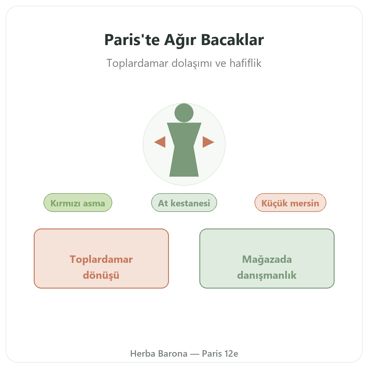 Paris’te ağır bacak takviyeleri - Herba Barona Paris 12. bölge