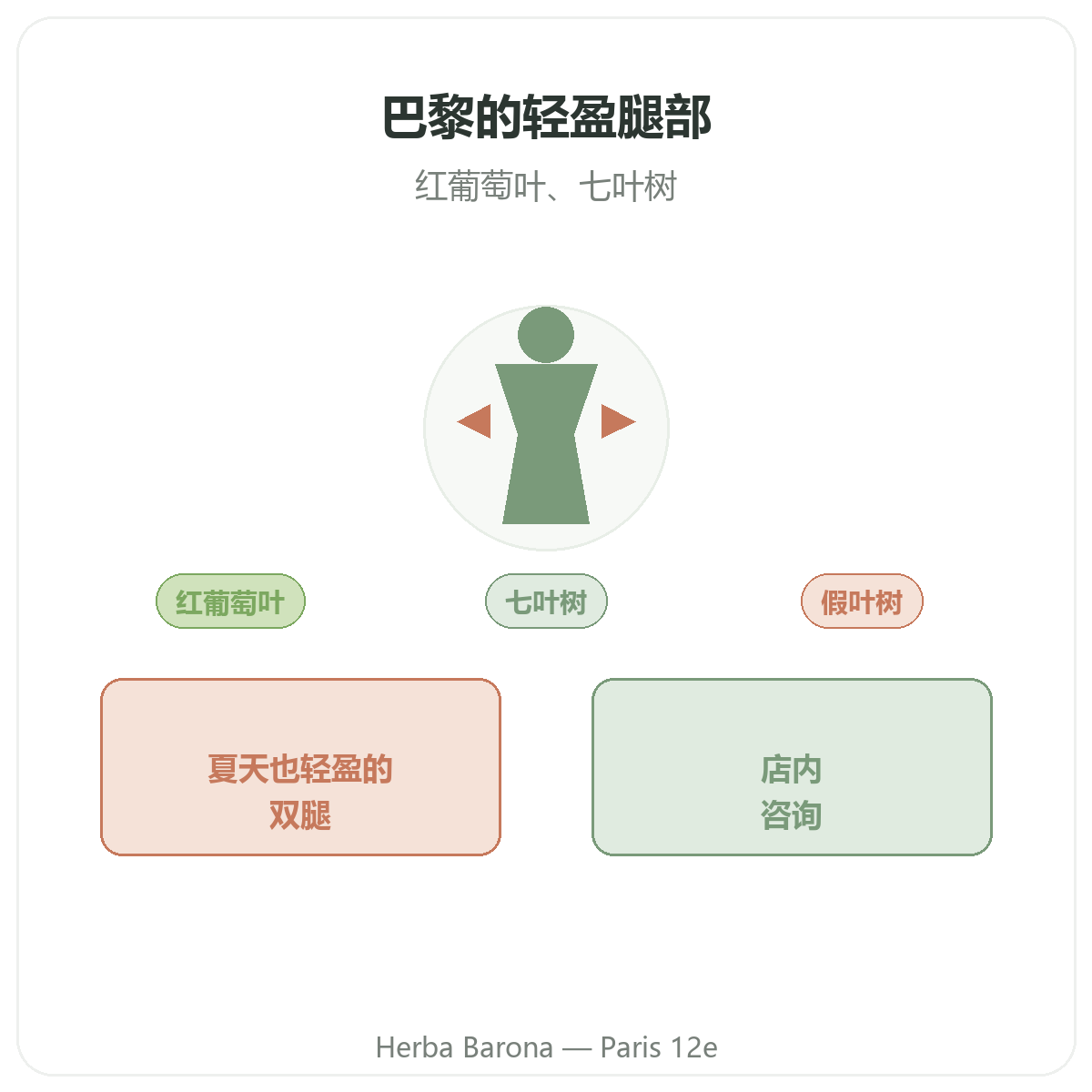 巴黎腿部沉重感补充剂 - 巴黎12区 Herba Barona