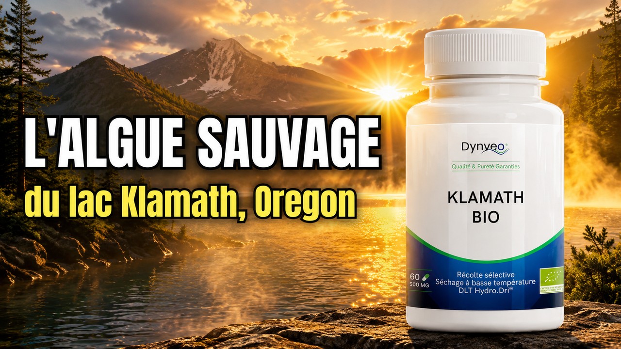Vidéo Klamath bio (AFA) – Dynveo – DLT Hydro Dri® – 500mg / 60 gélules Paris Herba Barona