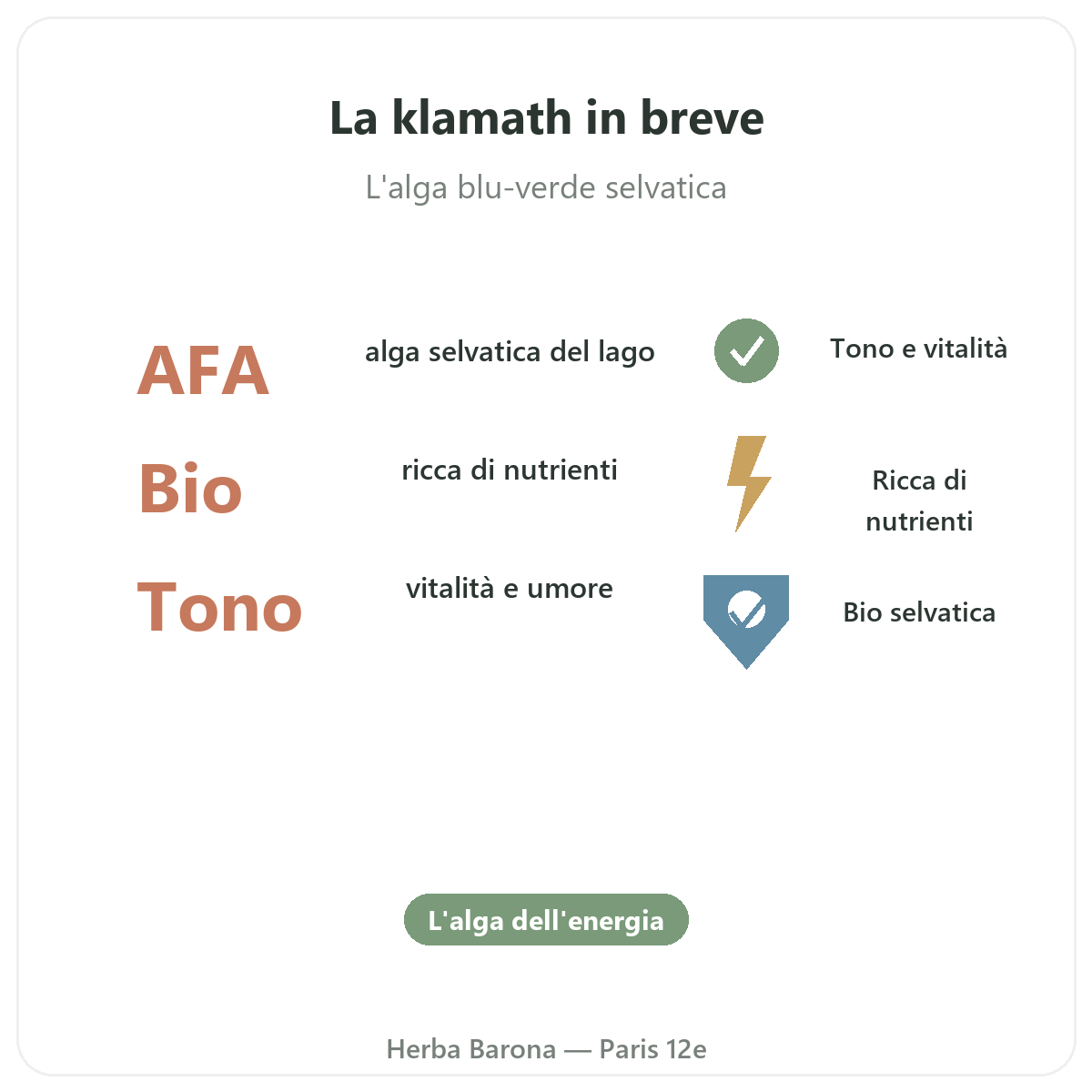 Klamath Parigi Parigi in breve - numeri chiave da Herba Barona Parigi 12e