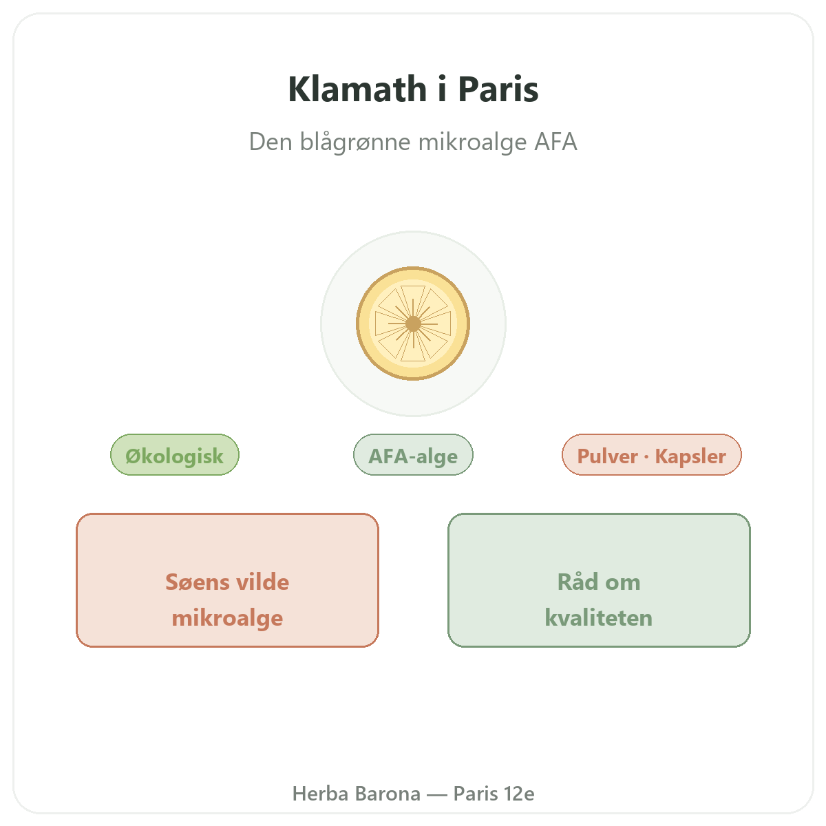 Klamath i Paris - præsentation af mærket hos Herba Barona Paris 12