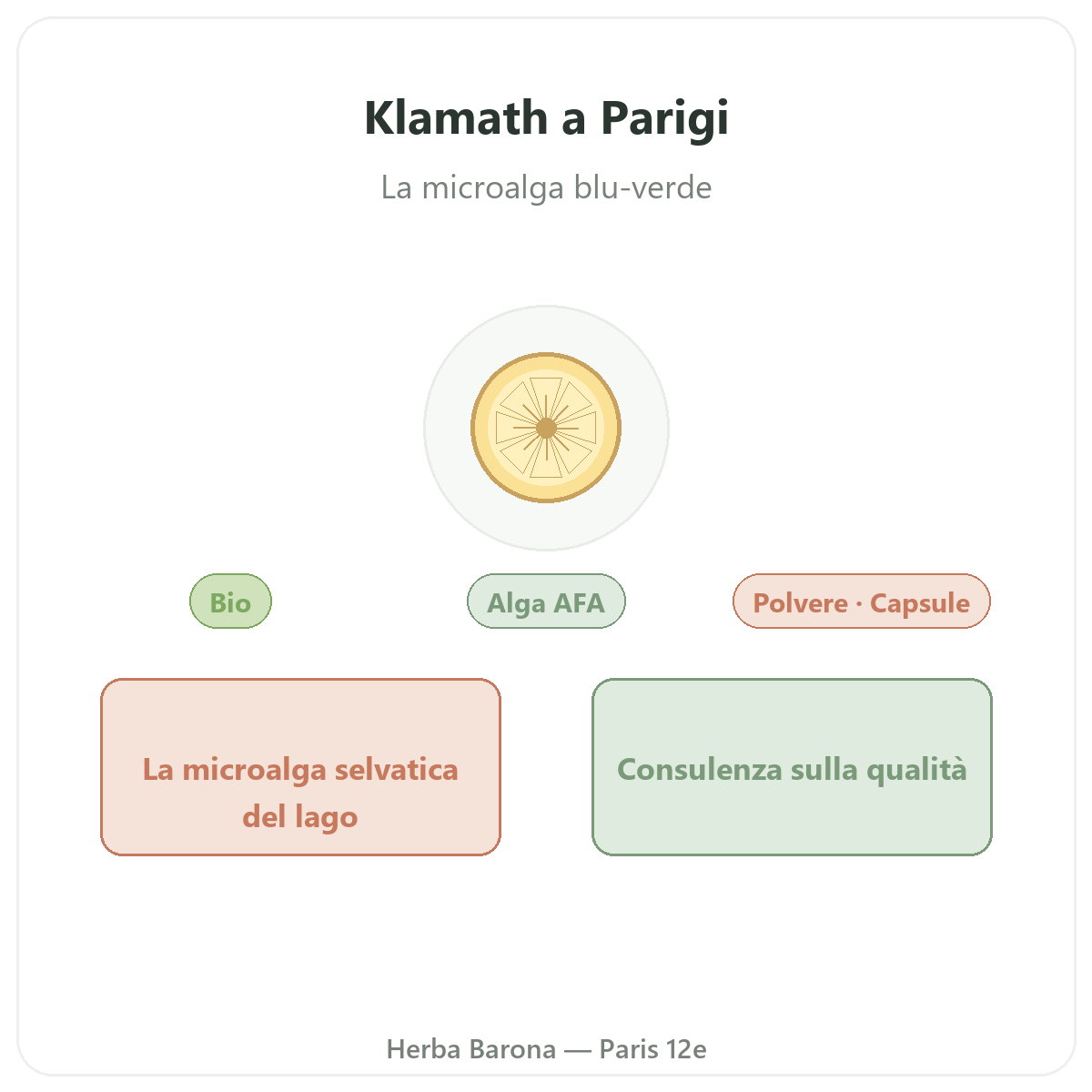 Klamath Parigi Parigi - presentazione del marchio da Herba Barona Parigi 12e