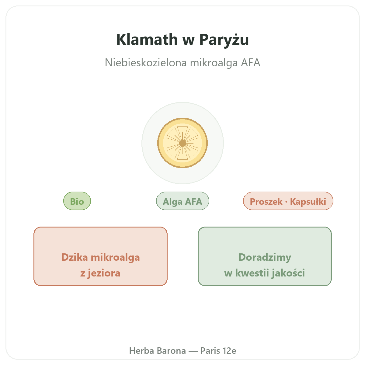 Klamath w Paryżu – prezentacja w Herba Barona